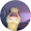 Margaret Riggs profile picture